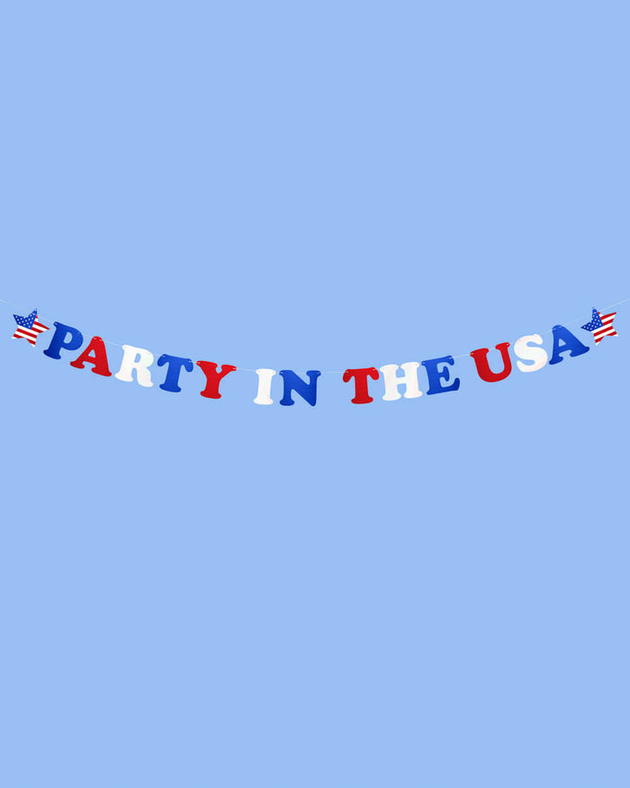 Party In The USA Banner - iridescent foil banner