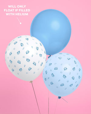 Coastal Balloon Pack - 24 latex balloons