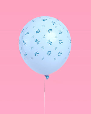 Coastal Balloon Pack - 24 latex balloons