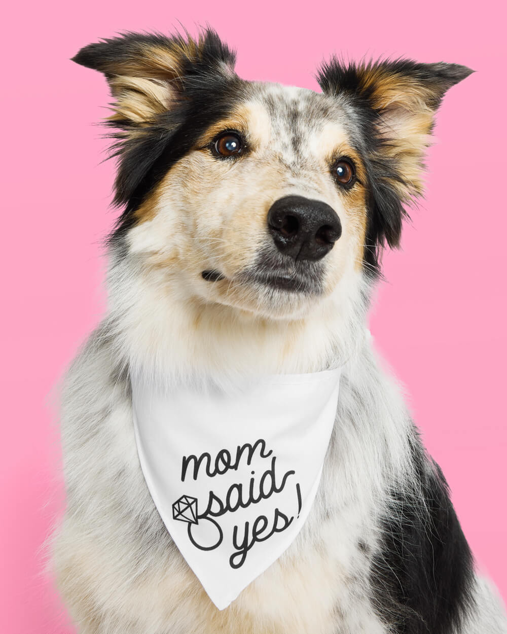 Mom Said Yes! Bandana - white pet bandana